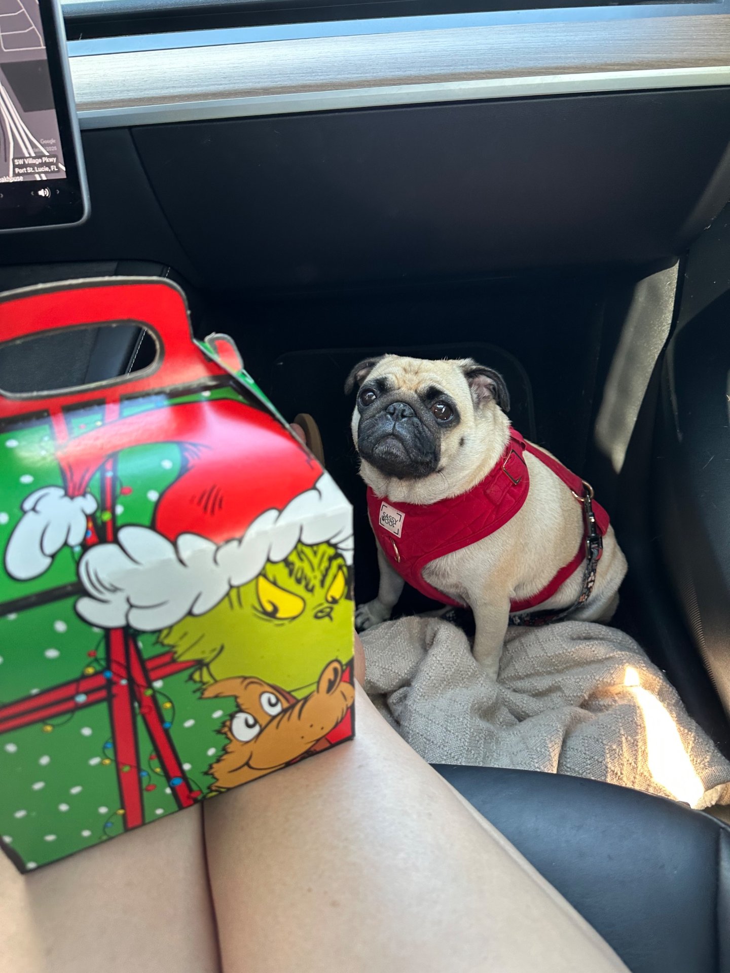 Scored a Grinch Happy Meal!