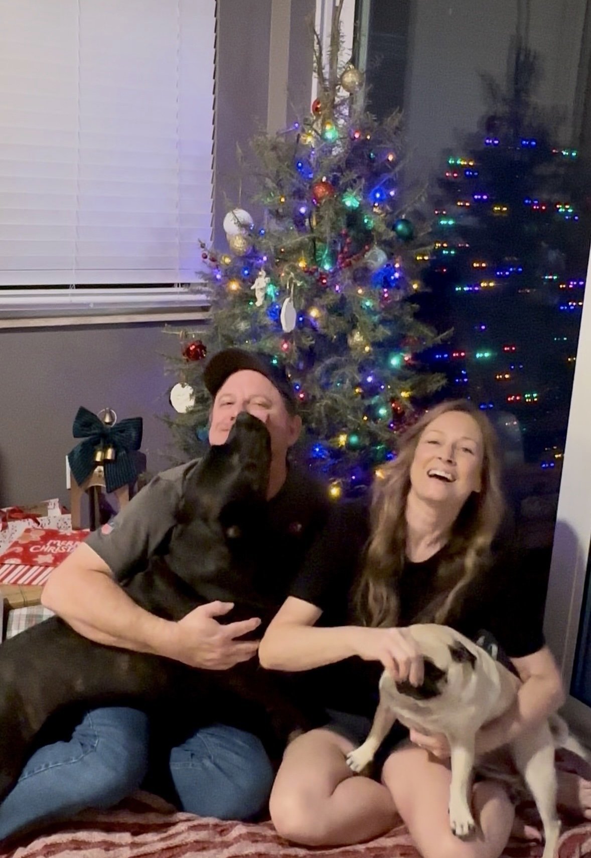 Christmas wrapped in twinkling lights