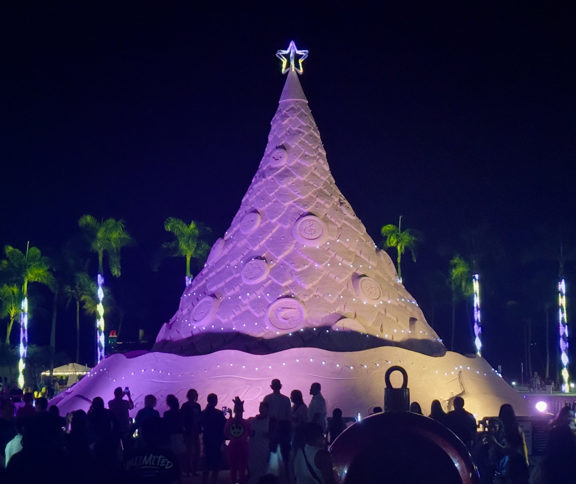 🌟 Holiday magic in West Palm Beach! 🌴✨