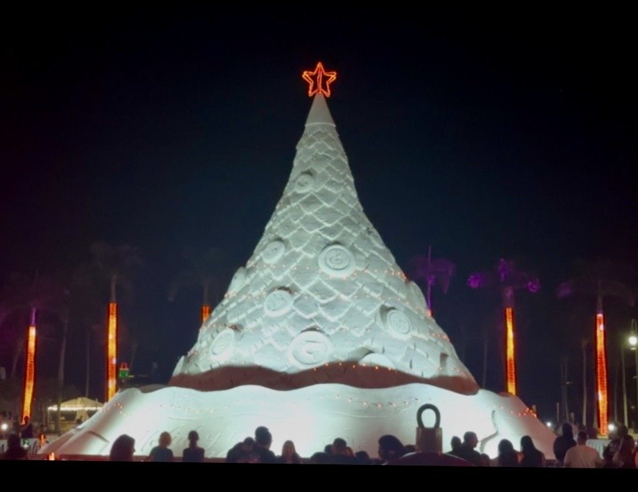 🌟 Holiday magic in West Palm Beach! 🌴✨