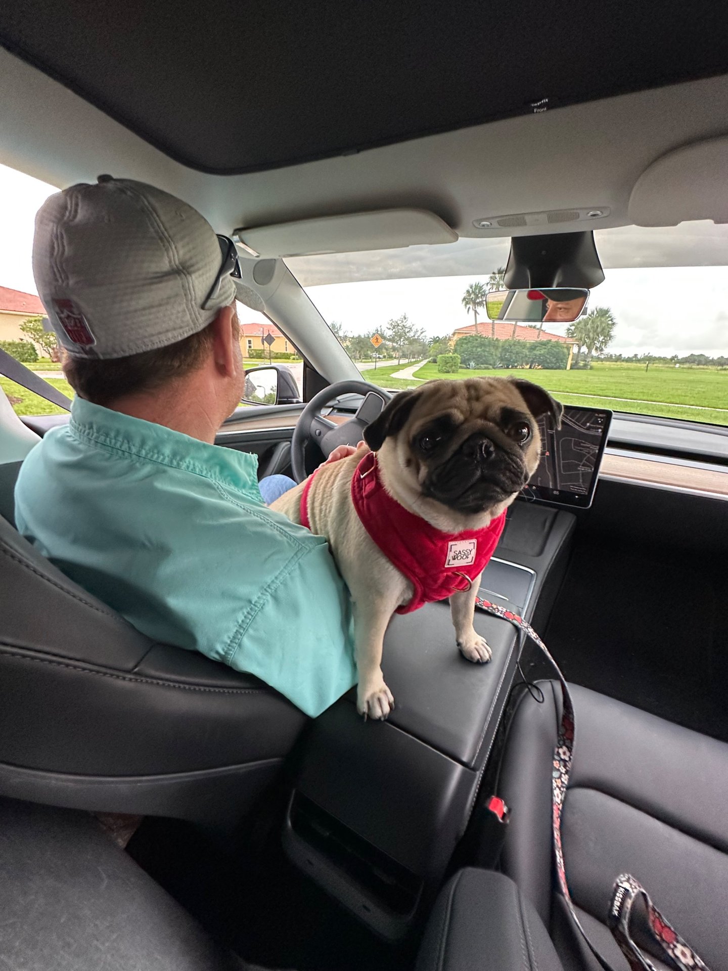 🐾 Padme’s Little Miracle Magic 🐾